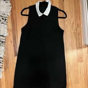 Peter Pan collar Aline shift dress